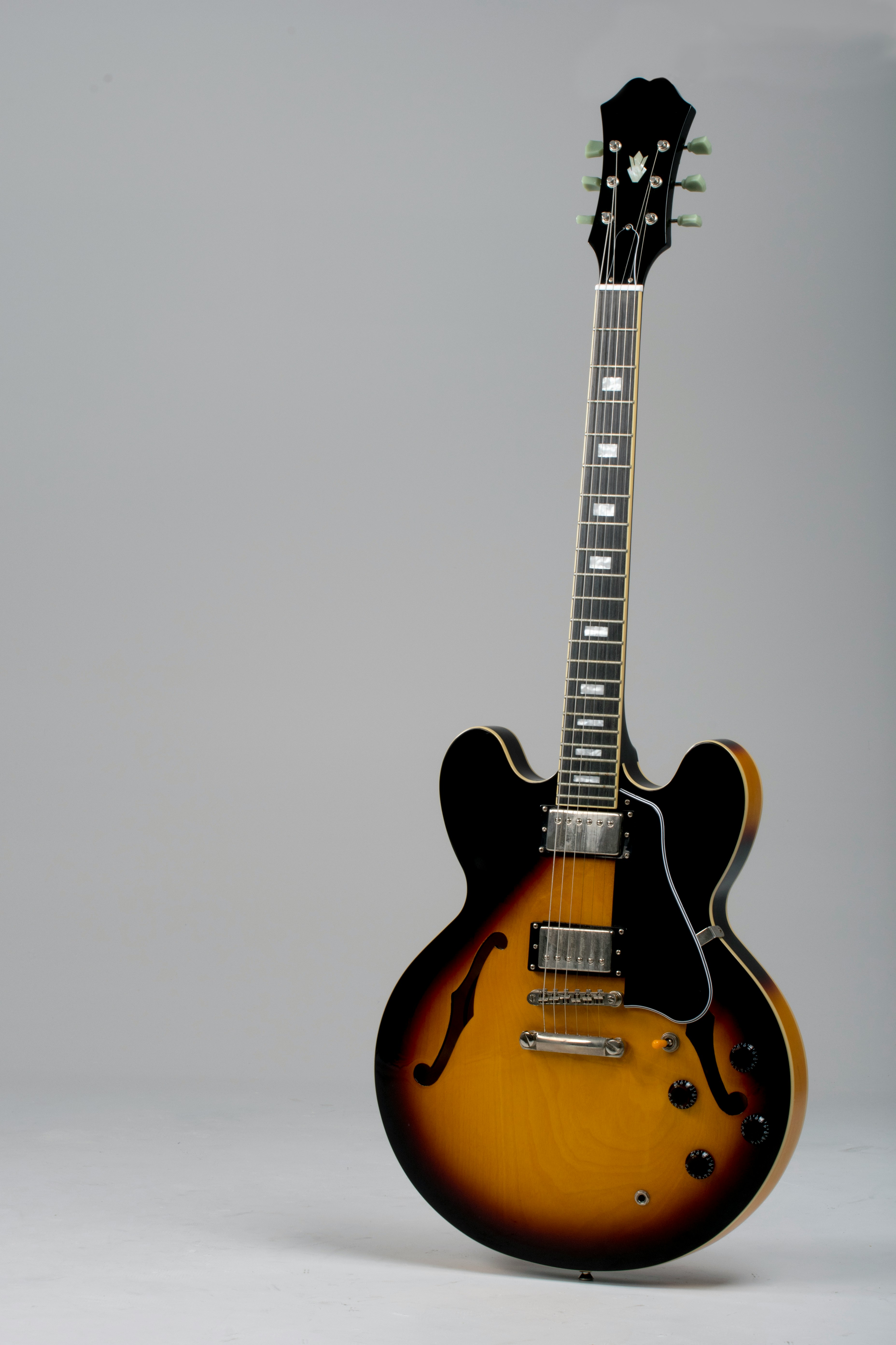 Electric Guitar